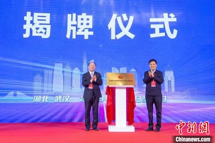 图为中国地方铁路协会新兴轨道交通分会在武汉成立 中国地方铁路协会新兴轨道交通分会供图